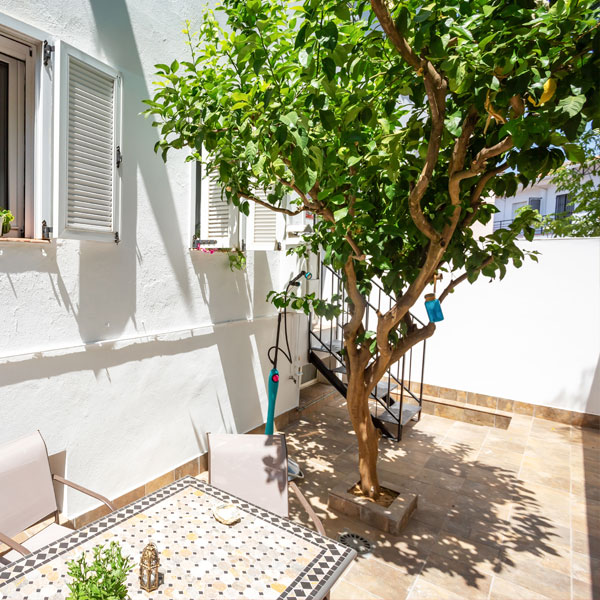 como-es-la-colmena-de-ana2