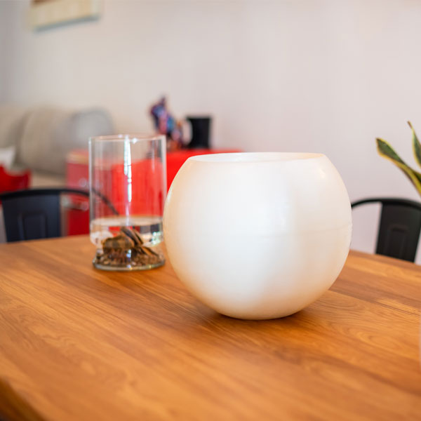 como-es-la-colmena-de-ana7